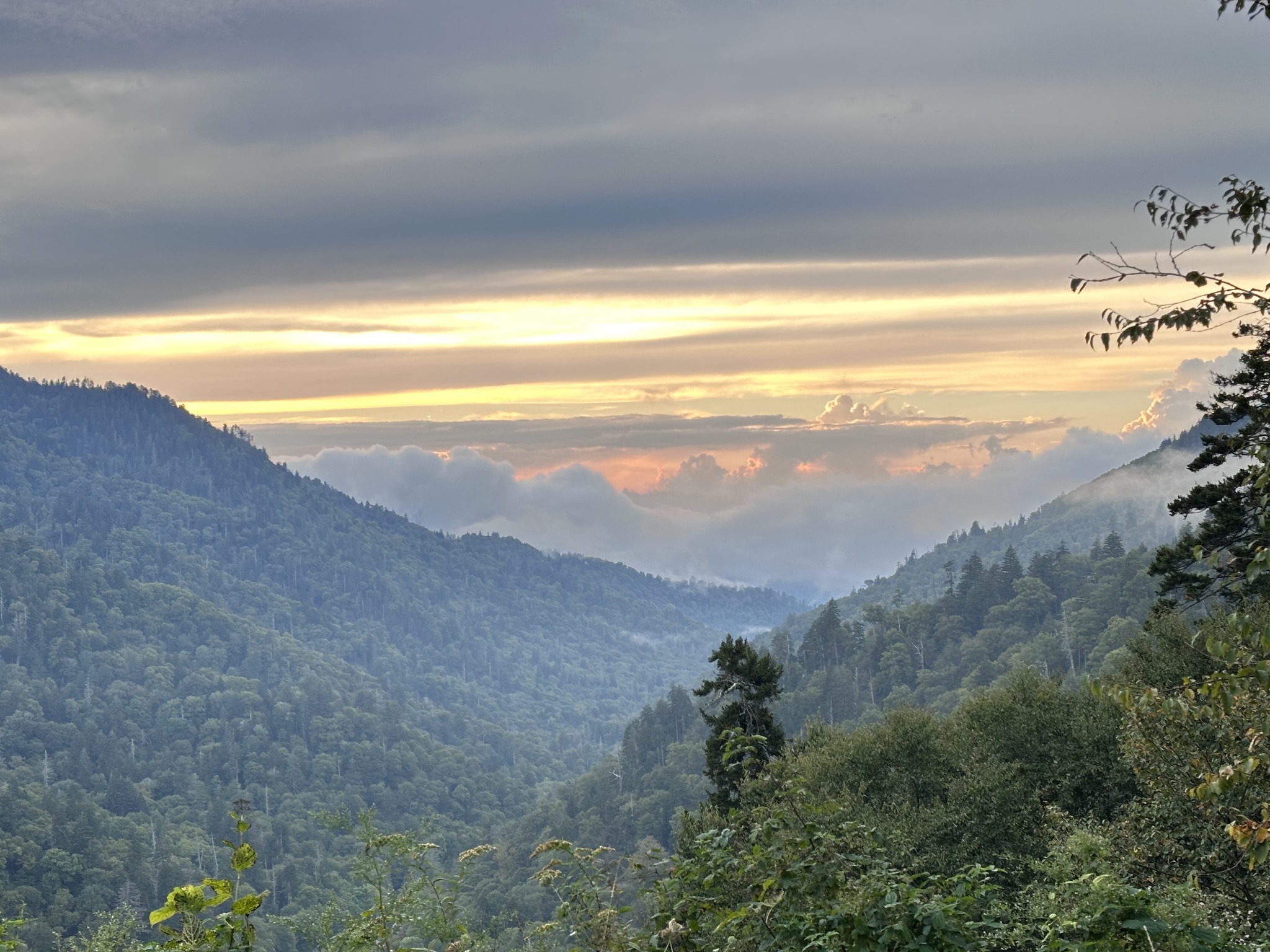 Golden light and mist over the forested Smoky Mountains